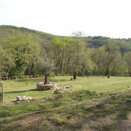 Studio aux Eyzies au coeur de la vallée de l'homme Les Eyzies Extérieur photo