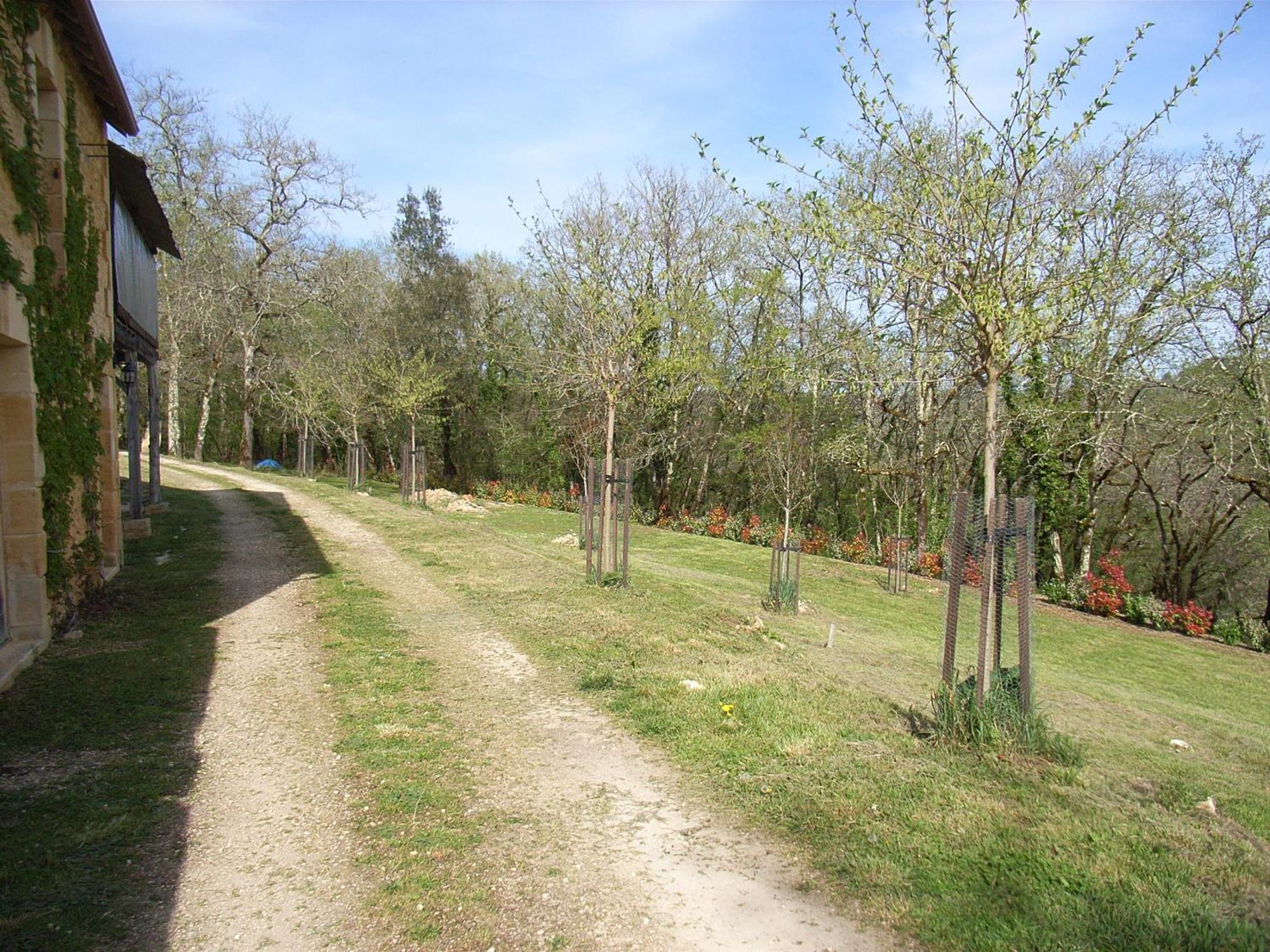 Studio aux Eyzies au coeur de la vallée de l'homme Les Eyzies Extérieur photo