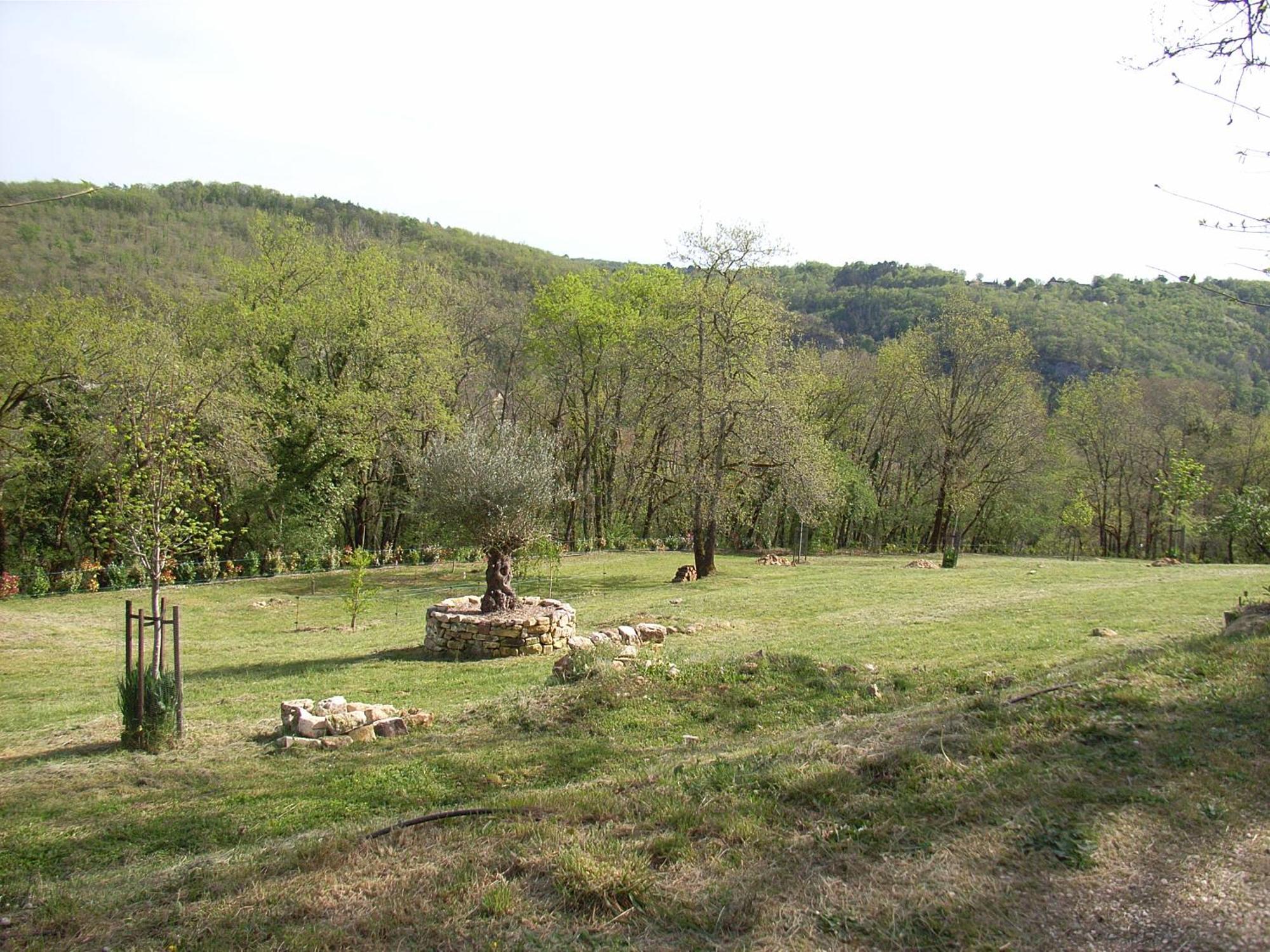 Studio aux Eyzies au coeur de la vallée de l'homme Les Eyzies Extérieur photo