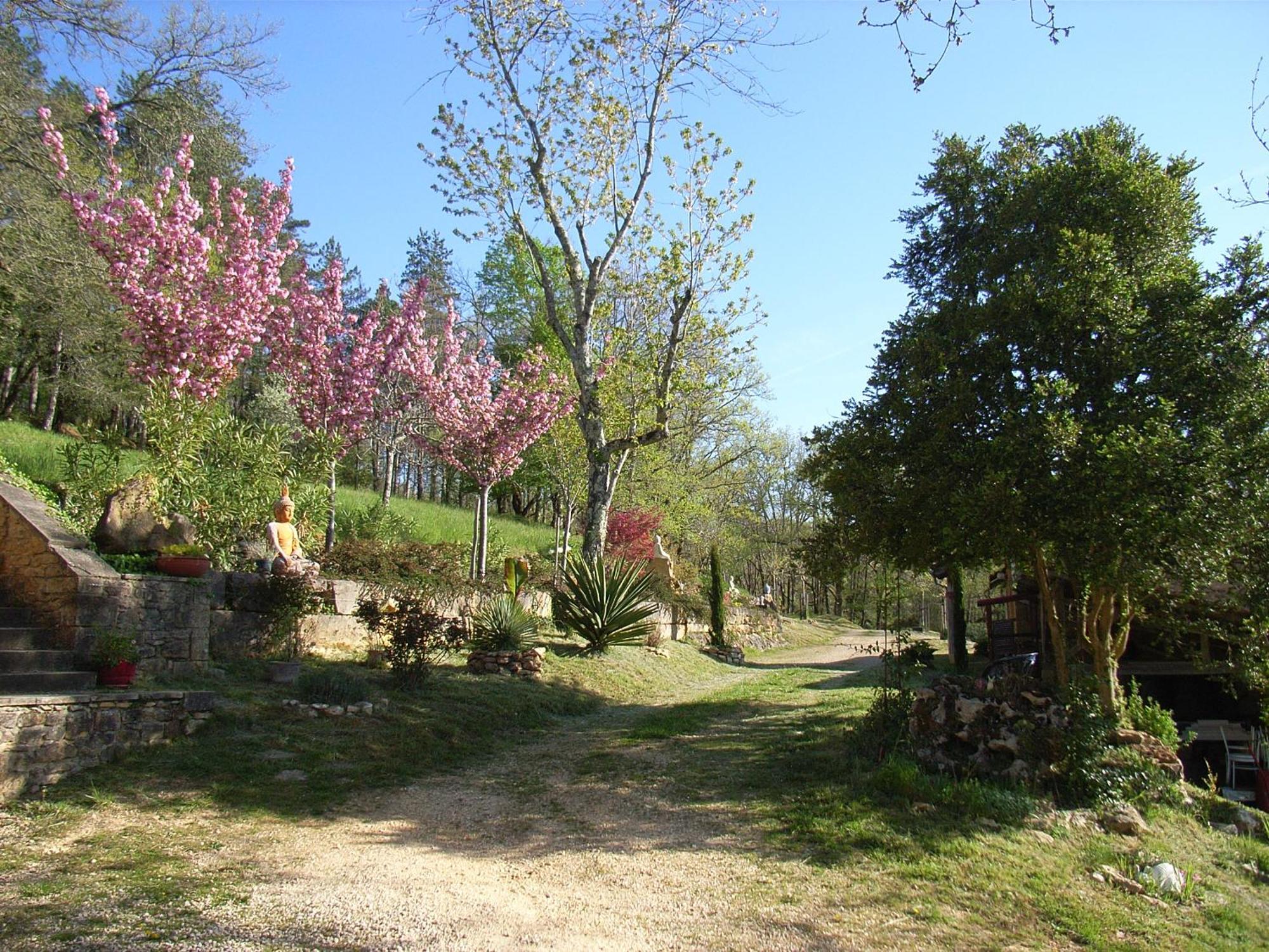 Studio aux Eyzies au coeur de la vallée de l'homme Les Eyzies Extérieur photo