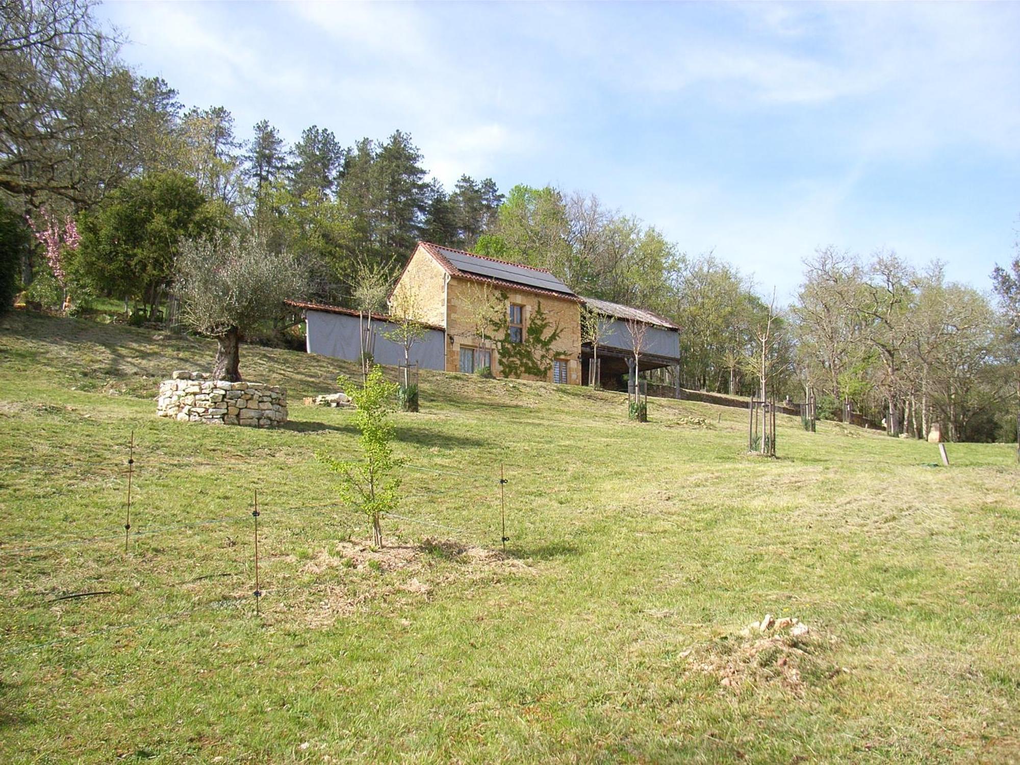 Studio aux Eyzies au coeur de la vallée de l'homme Les Eyzies Extérieur photo